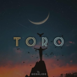 Toro lyrics | Boomplay Music