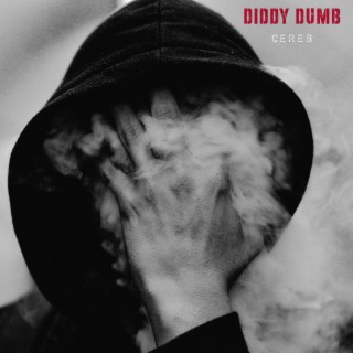 Diddy Dumb lyrics | Boomplay Music