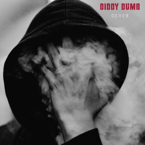 Diddy Dumb | Boomplay Music