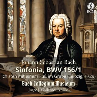 Ich steh mit einem Fuß im Grabe, BWV 156/1: Sinfonia