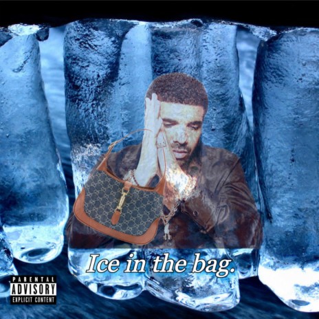 Ice in the Bag | Boomplay Music