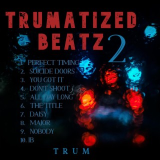 Trumatized Beatz 2