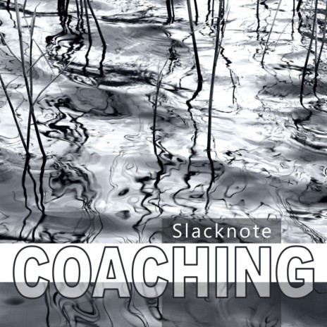 Version Coaching 2