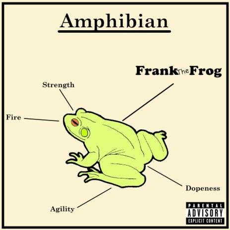 Amphibian | Boomplay Music