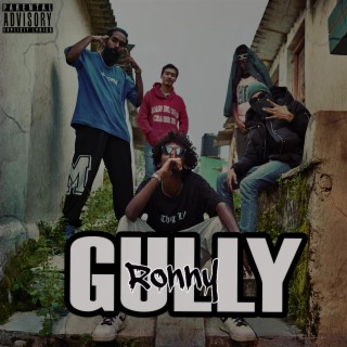 GULLY lyrics | Boomplay Music