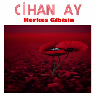 Herkes Gibisin lyrics | Boomplay Music