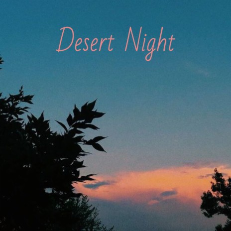 Desert Night | Boomplay Music