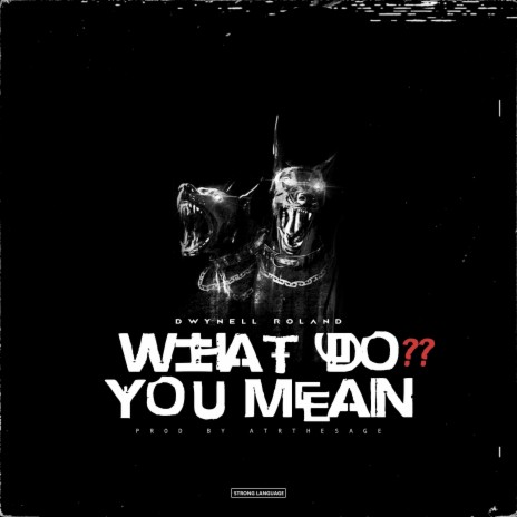 What Do You Mean | Boomplay Music