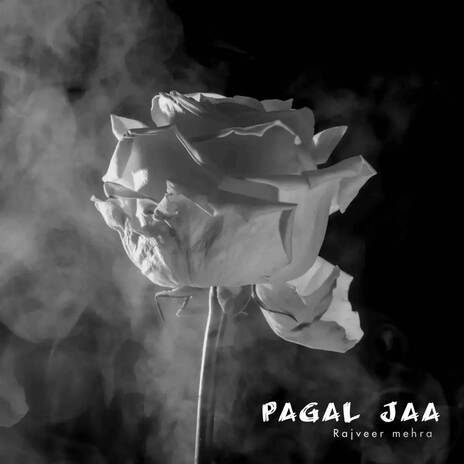 Pagal jaa | Boomplay Music