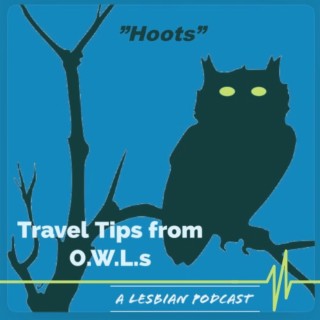 The OWLS are in - Ireland part 2