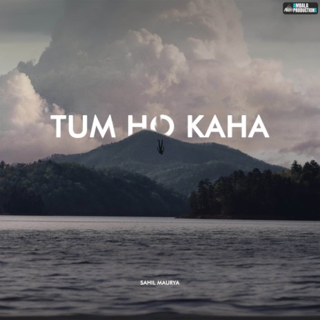 Tum Ho Kaha | Boomplay Music