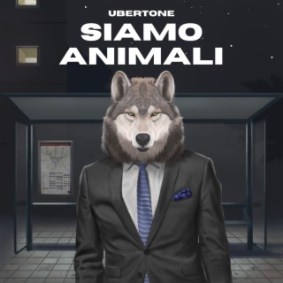 Siamo animali lyrics | Boomplay Music