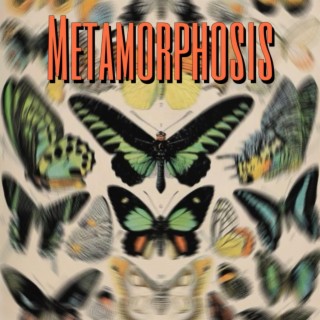 Metamorphosis