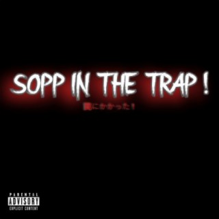 SOPP IN THE TRAP !