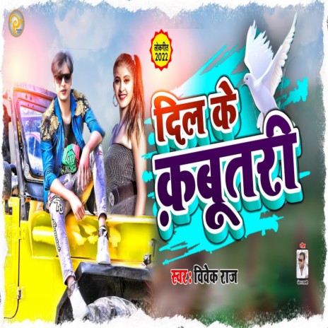 Dil Kekabutari | Boomplay Music