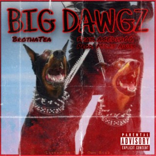 Big Dawgz ft. ACEDit100 lyrics | Boomplay Music