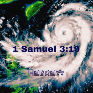 1 Samuel 3:19