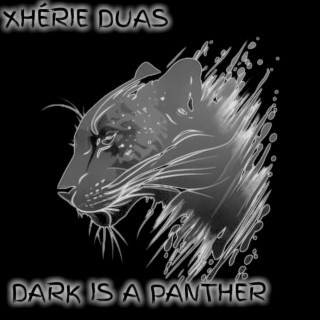 DARK IS A PANTHER