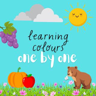 Learning Colours One By One