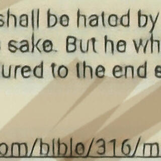 but he who shall have endured to the end...