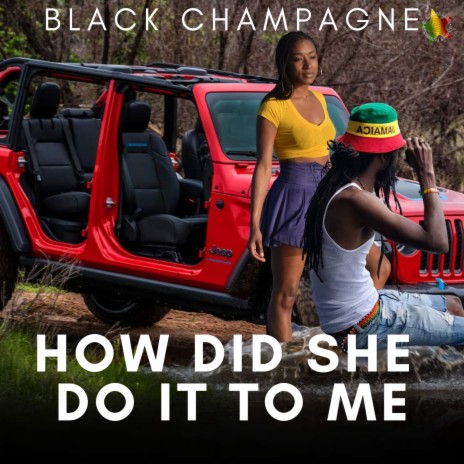 How Did She Do It To Me | Boomplay Music