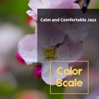 Calm and Comfortable Jazz