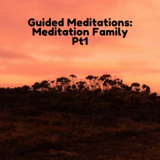 Guided Meditations: Meditation Family Pt1