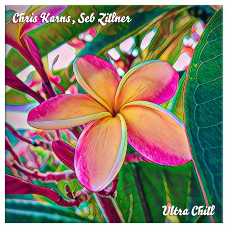 Ultra Chill ft. Seb Zillner | Boomplay Music