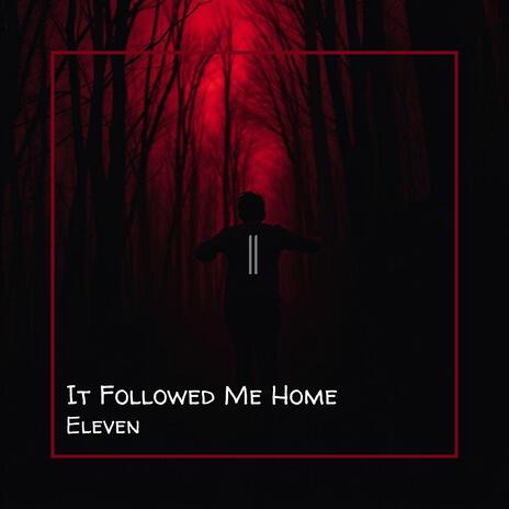 It Followed Me Home | Boomplay Music