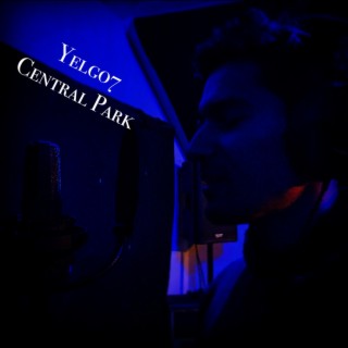 Central Park lyrics | Boomplay Music