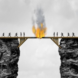 Why Burn Bridges?