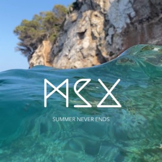 Summer Never Ends (Radio Edit)