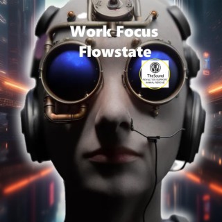 Work Focus Flowstate