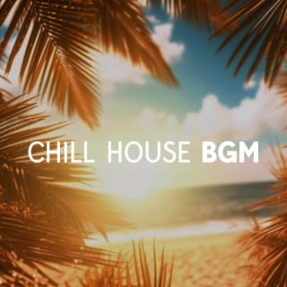 Chill House BGM: Party All Night Long