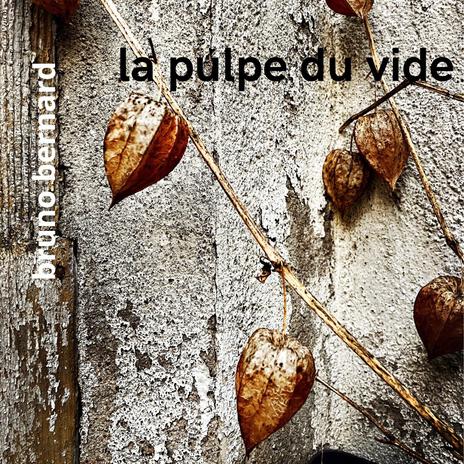 la pulpe du vide | Boomplay Music