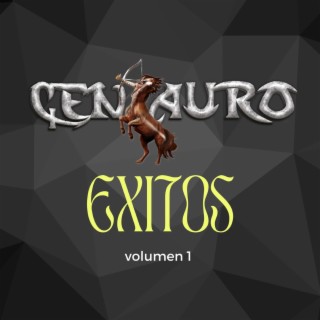 Exitos Vol. 1