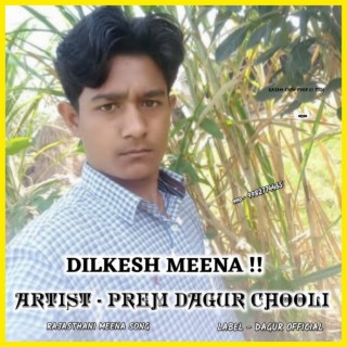 Dilkesh Meena