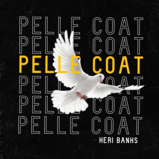 Pelle Coat Remix lyrics | Boomplay Music