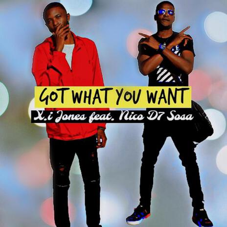 Got What You Want ft. Nico D7 Sosa | Boomplay Music