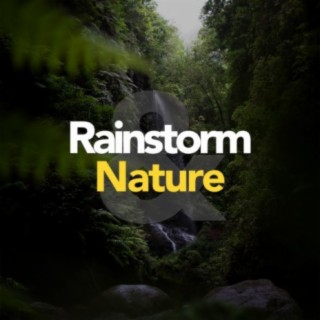 Rainstorm & Nature