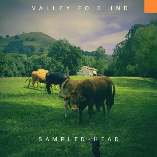 VALLEY FO`BLIND