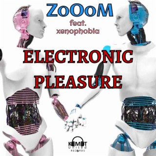 Electronic Pleasure