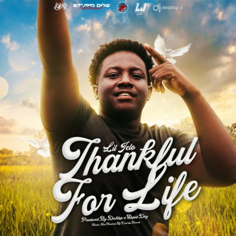 Thankful for Life | Boomplay Music