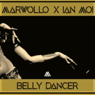 Bellydancer