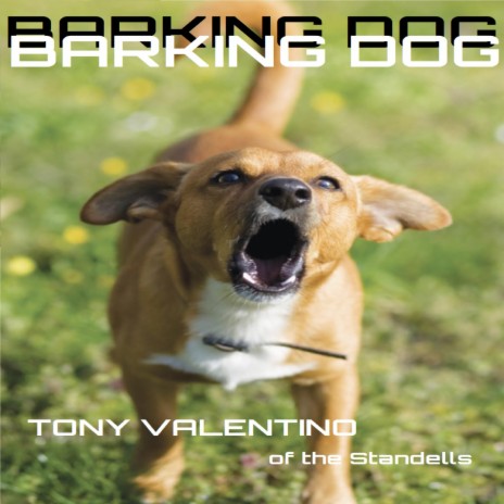 barking dog | Boomplay Music