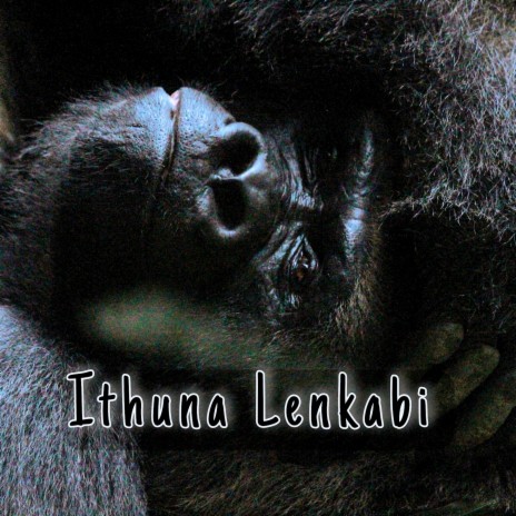 Ithuna Lenkabi | Boomplay Music