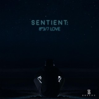 Sentient (Intro) lyrics | Boomplay Music