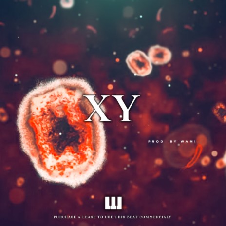 Xy | Boomplay Music