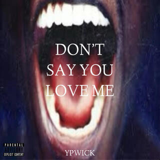 DON'T SAY YOU LOVE ME