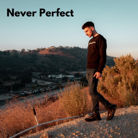 Never Perfect | Boomplay Music